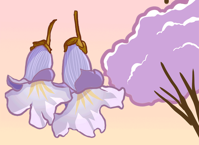 微信图片_20220331094335.gif 微信图片_20220331094335.gif