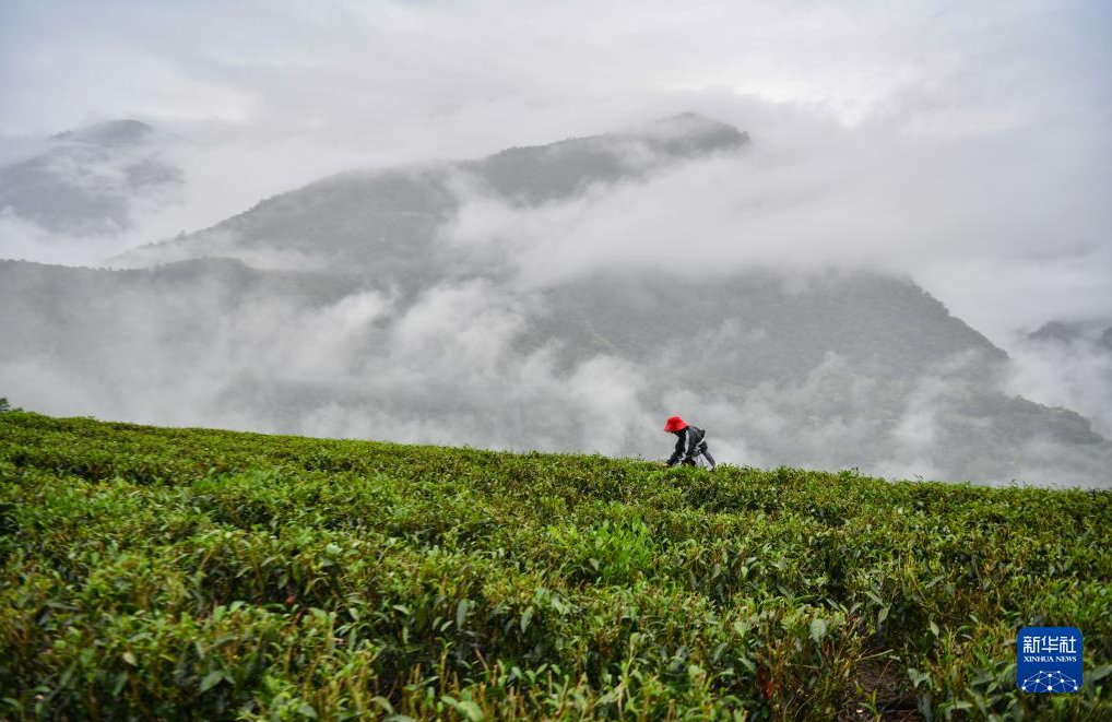 图片.png 图片.png