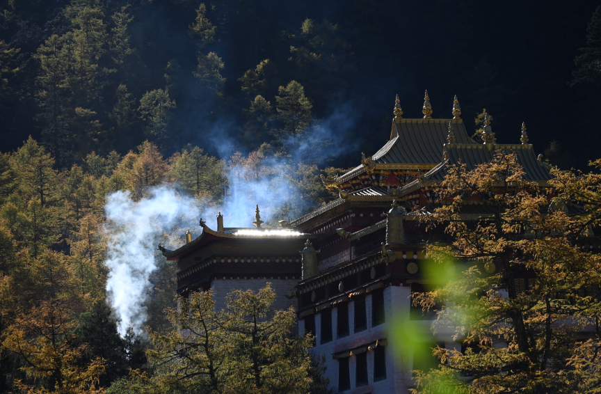 图片.png 图片.png