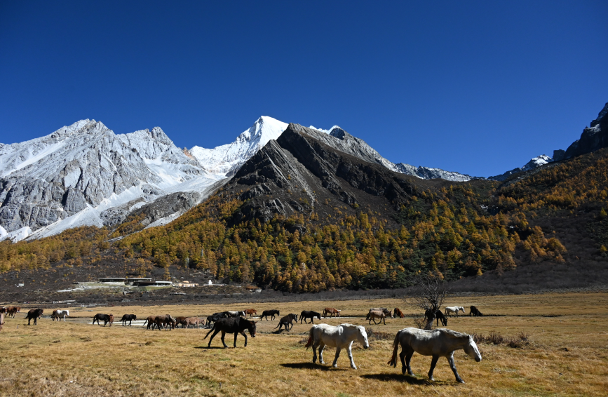 图片.png 图片.png