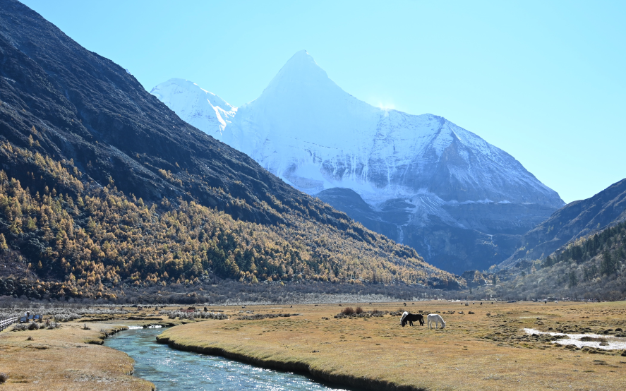 图片.png 图片.png