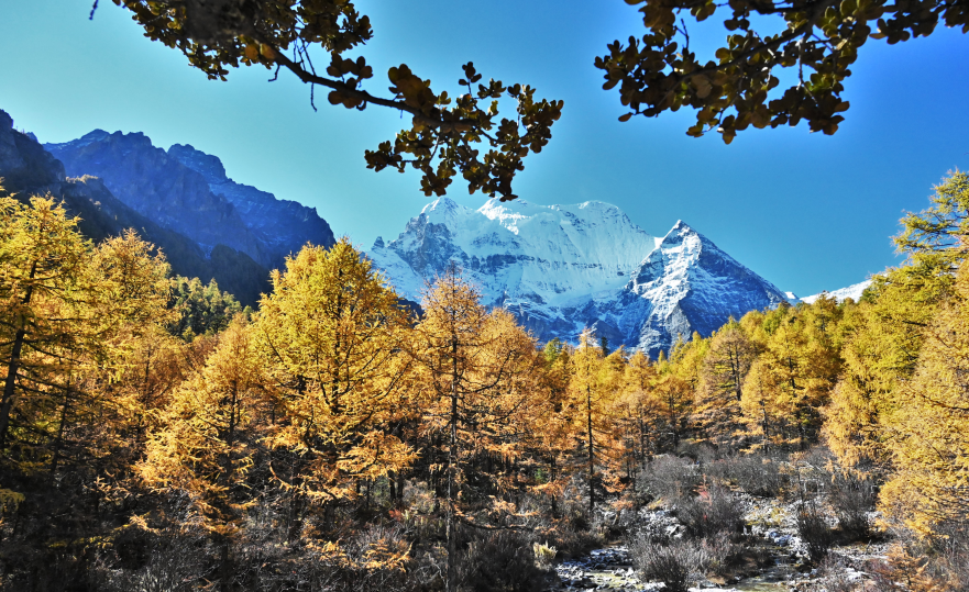 图片.png 图片.png