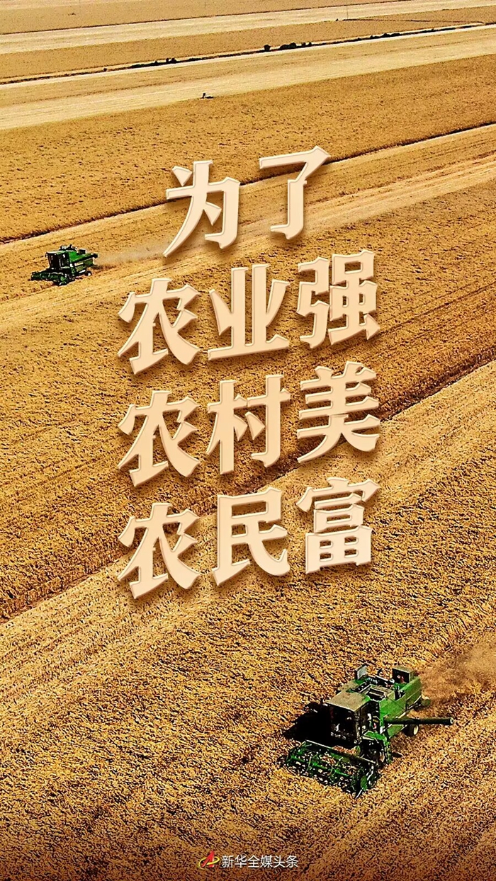 妖精影院